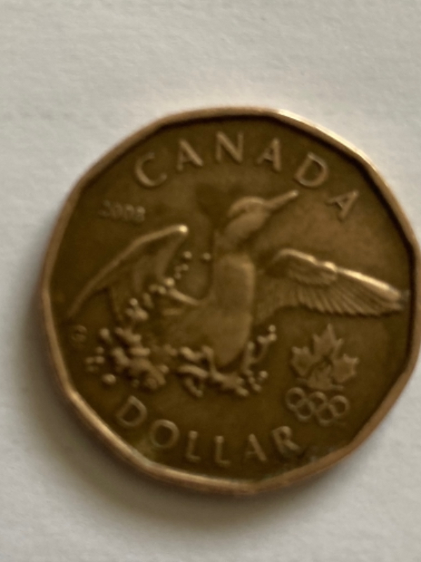 HI-Guys-I'm-New-To-The-Forum-I-Hope-You-Guys-Can-Answer-Some-Questions-About-2008-Lucky-Loonie